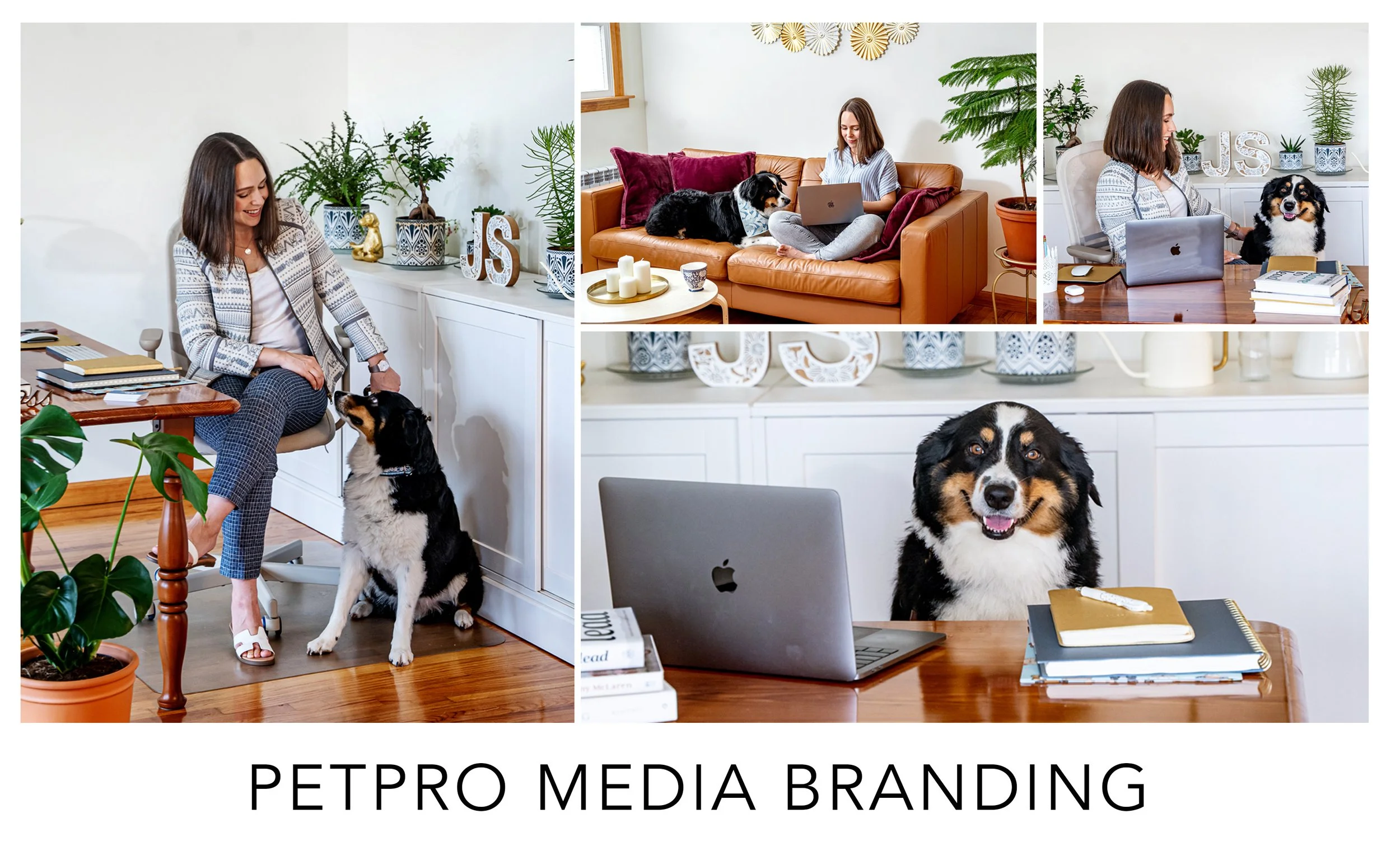 petpro.jpg