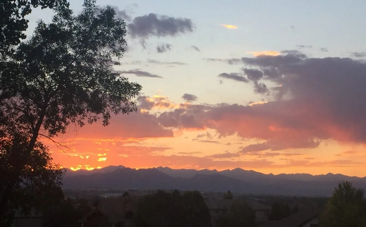 The Book Has Arrived!