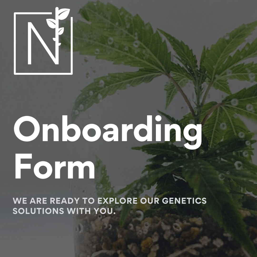 Onboarding Form - Node Labs