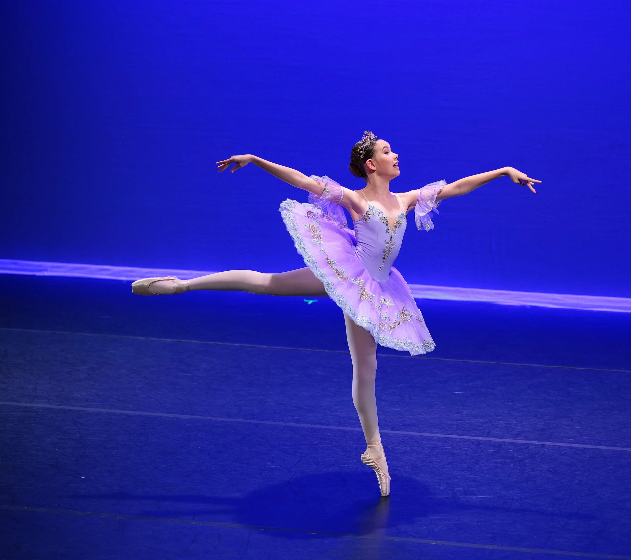 293SummerRoseSongFAIRYSLEEPINGBEAUTYClass37585.jpeg