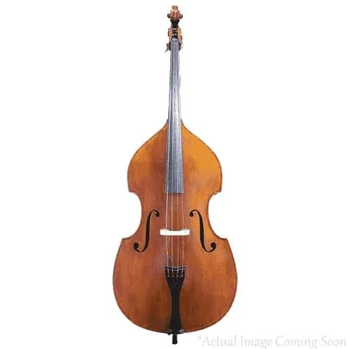 Bass.jpeg