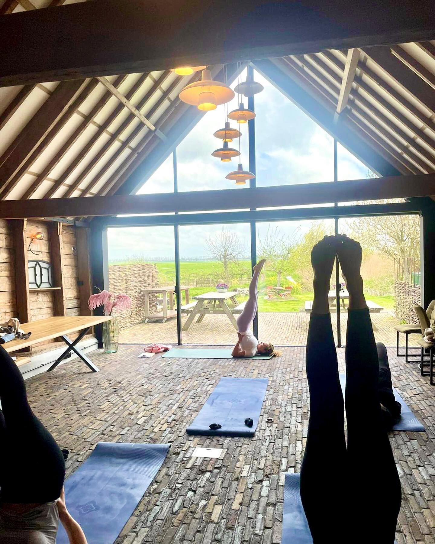 Building Resilience and Spreading Positivity: A special Training Team Day! 

It was such an uplifting and transformative day for the inspiring team of Bencis and me.

We talked about cultivating a positive mindset, enhancing mental resilience, and ha
