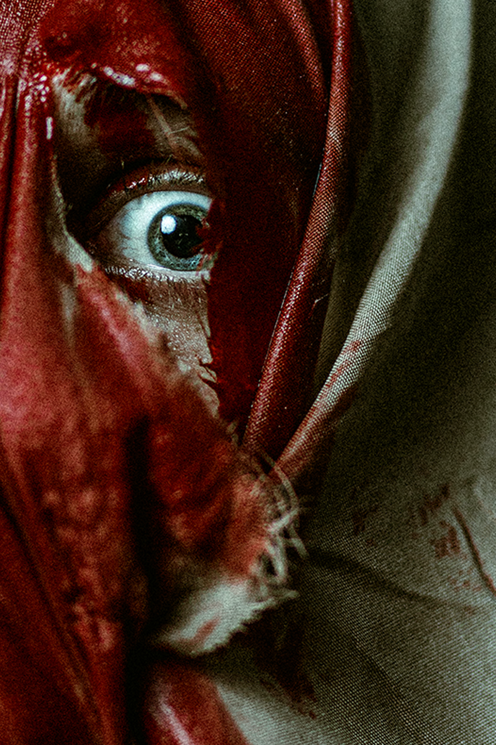 Edit_IMG_4261 CU.png