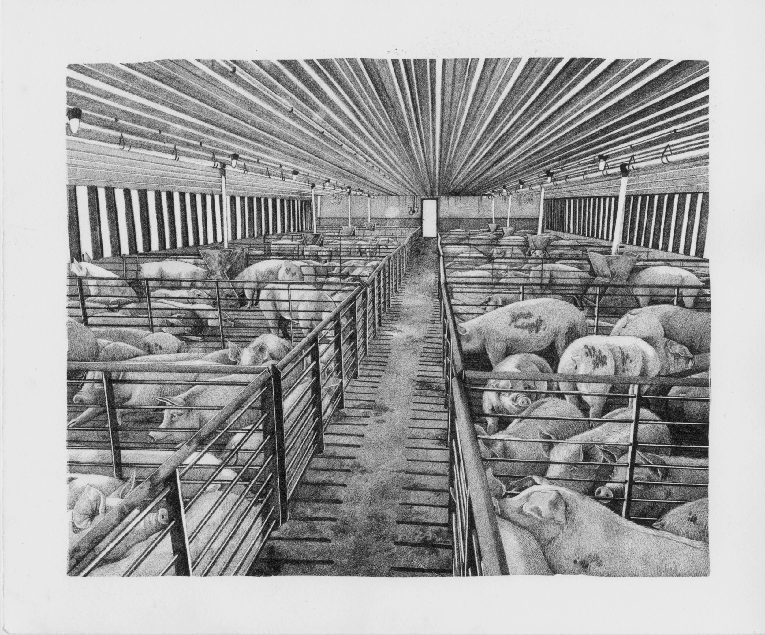 Sadie Goll, Down the Row, Lithography, 9 × 13”., unframed, $850
