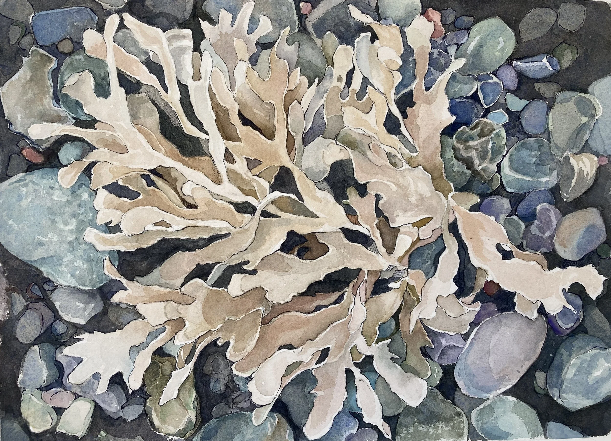 Suzanne Demeo, Irish Moss on the Rocks, Watercolor on paper, 20" x 17", $1000