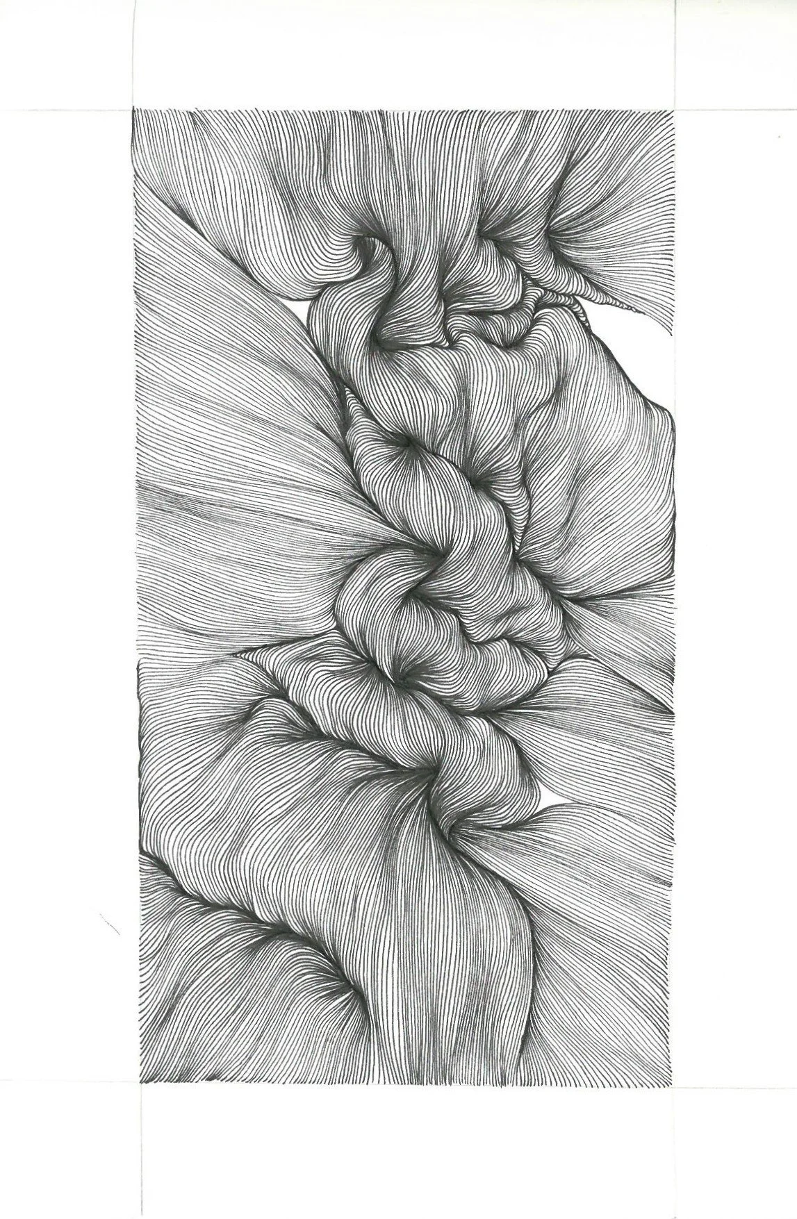 Zezelia Olson, No. 101, Mircon pen on paper. 9x6 $125

