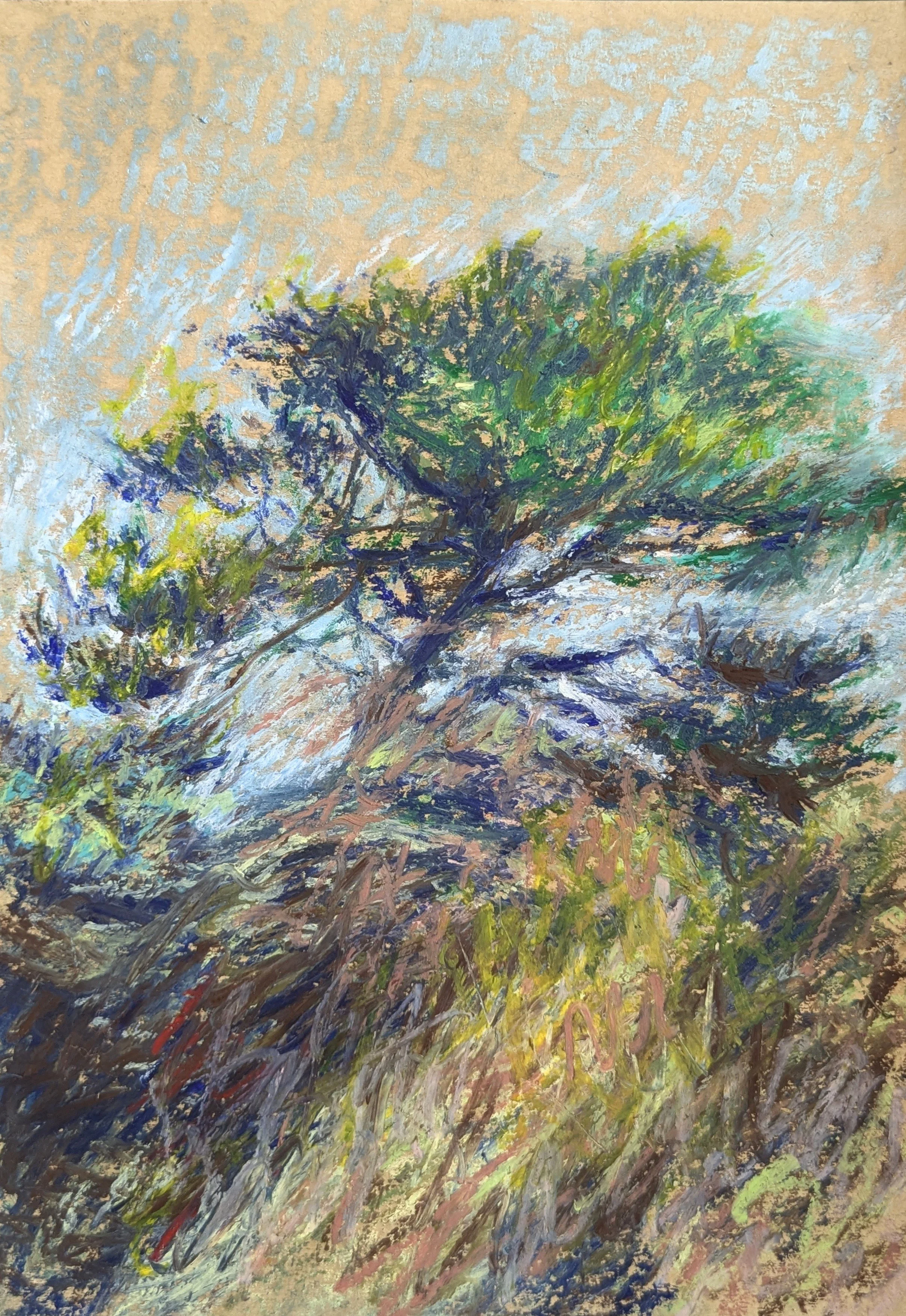 Ingrid Brown, Summer Pine, Oil Pastel on kraft paper, 21 cm x 15 cm, £120