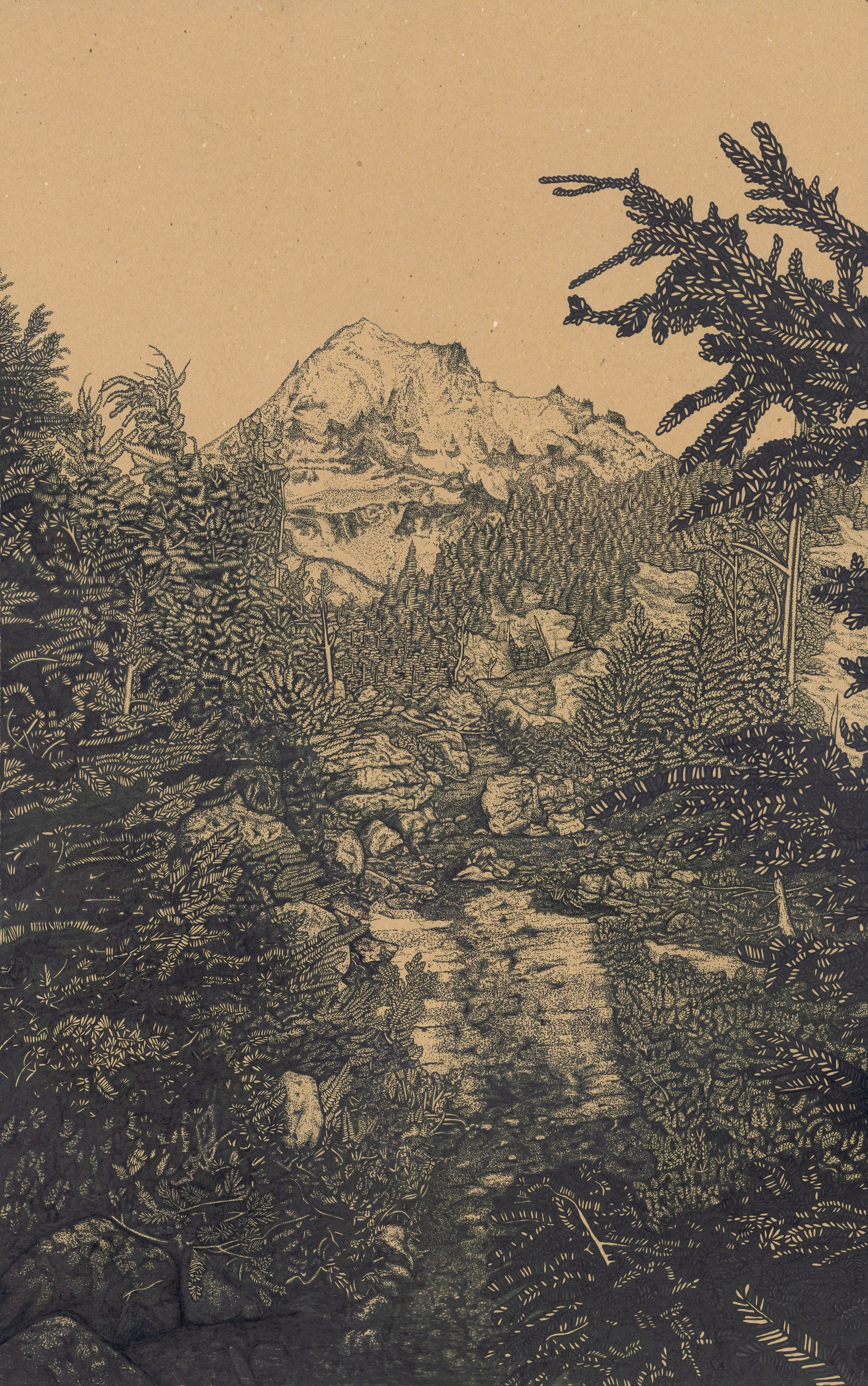 Genevieve Irene DiBiase, Mt. Hood, Ink on chipboard, 29 x 44.125, $2700
