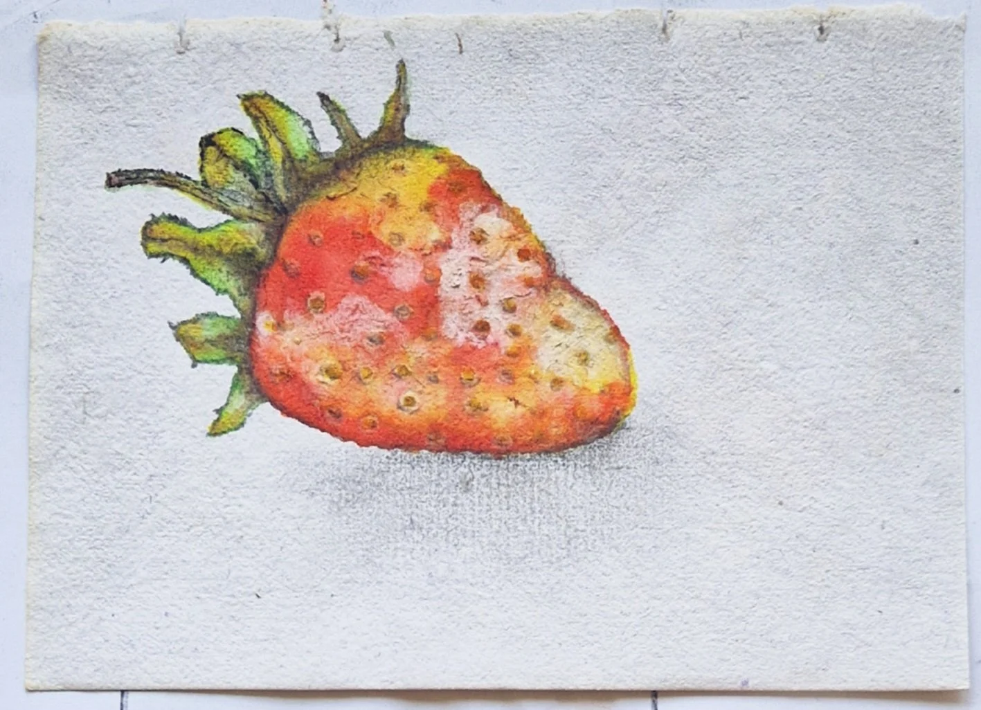 Ellie Goodliffe, Strawberry, Paper and watercolor,A5, Price 40

