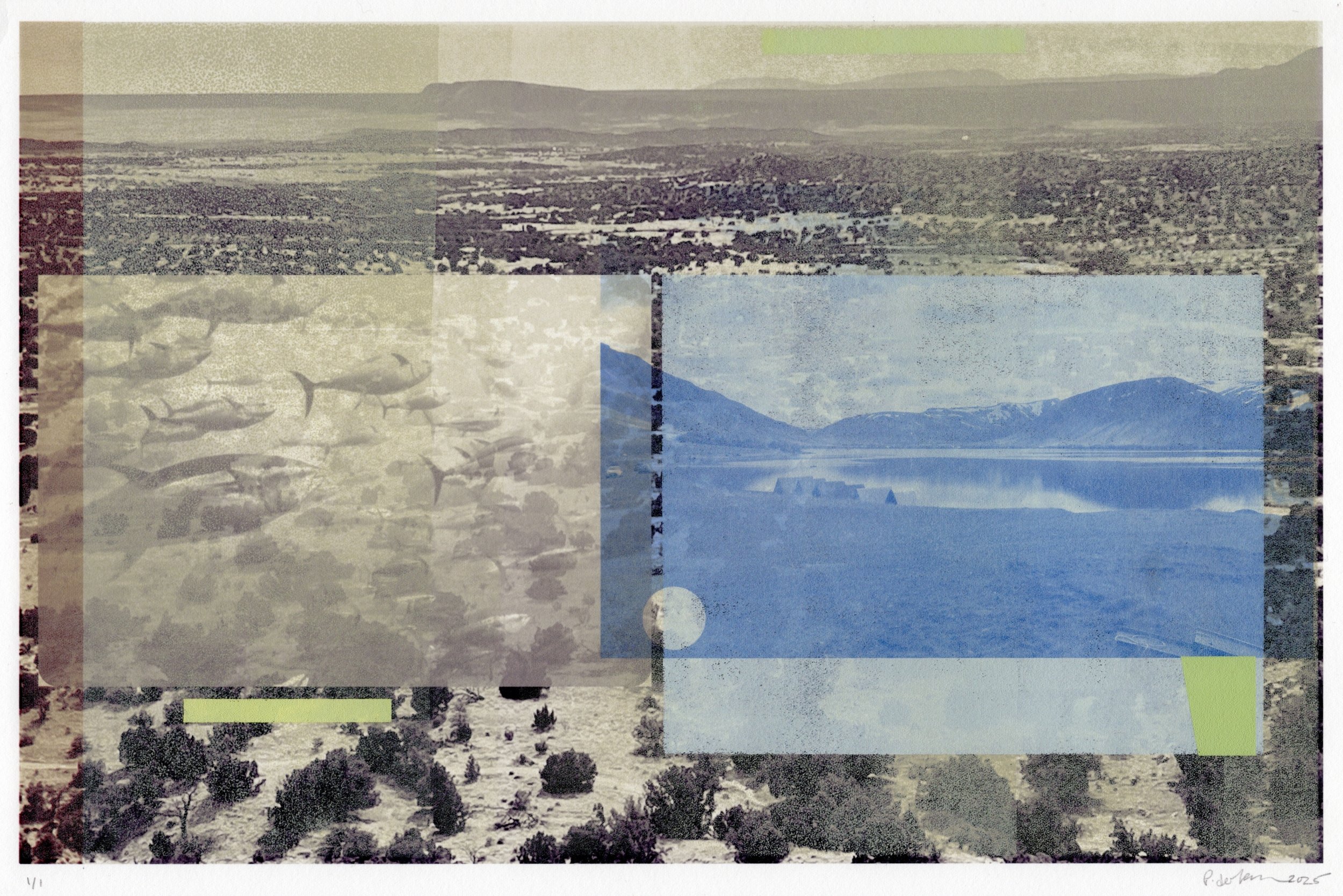 Patty deGrandpre, Landlocked (Swim with the Fish), Block-printing ink and digital inkjet on Awagami Japanese paper,, 11 × 16.5", $425

