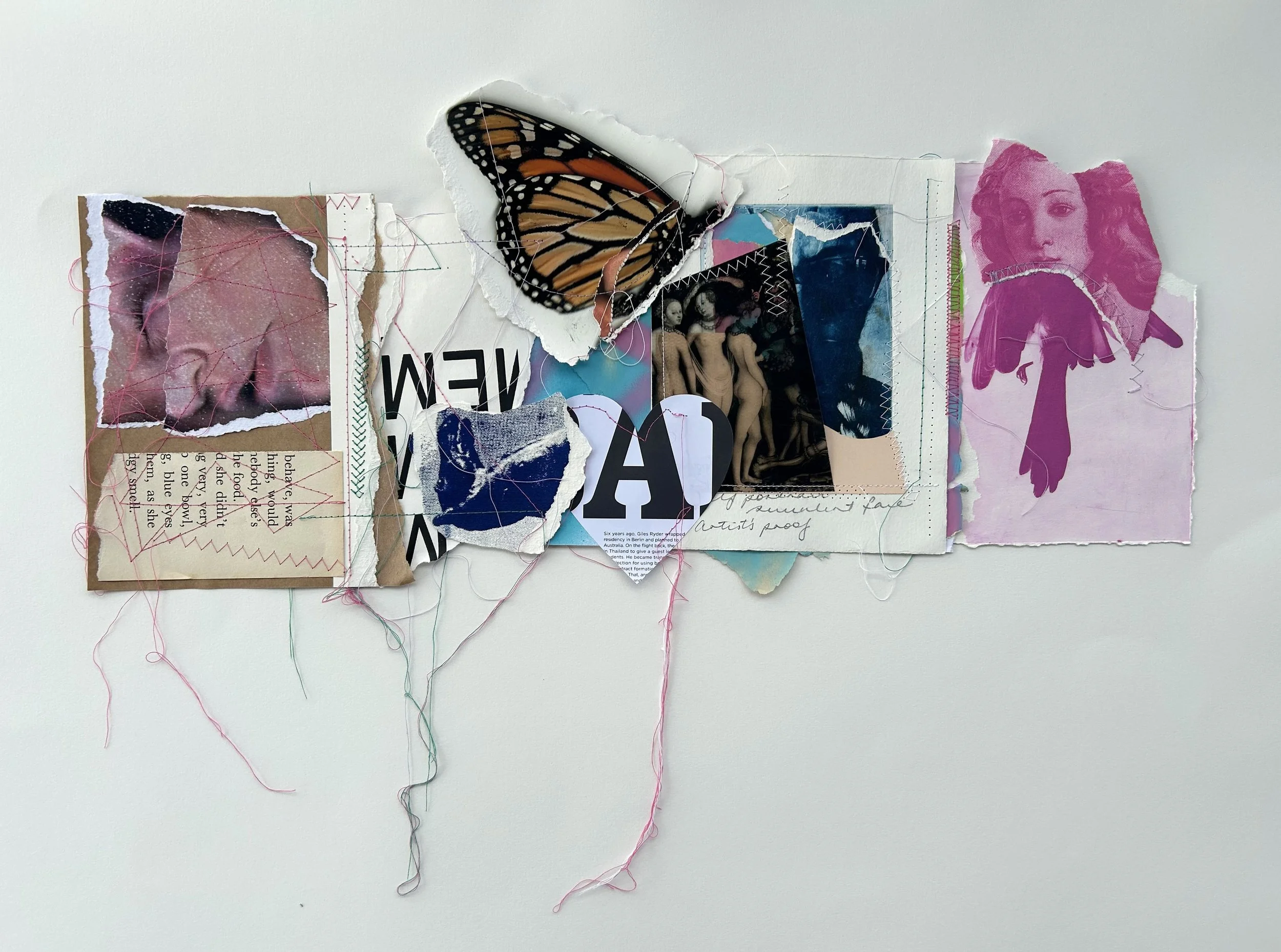 Kristen Flynn, Self-portrait patchwork combine, Solar plate etching, screen printing, inject printing, found print-media sewn on various papers and plastic, 20mm x 594mm, $1000
