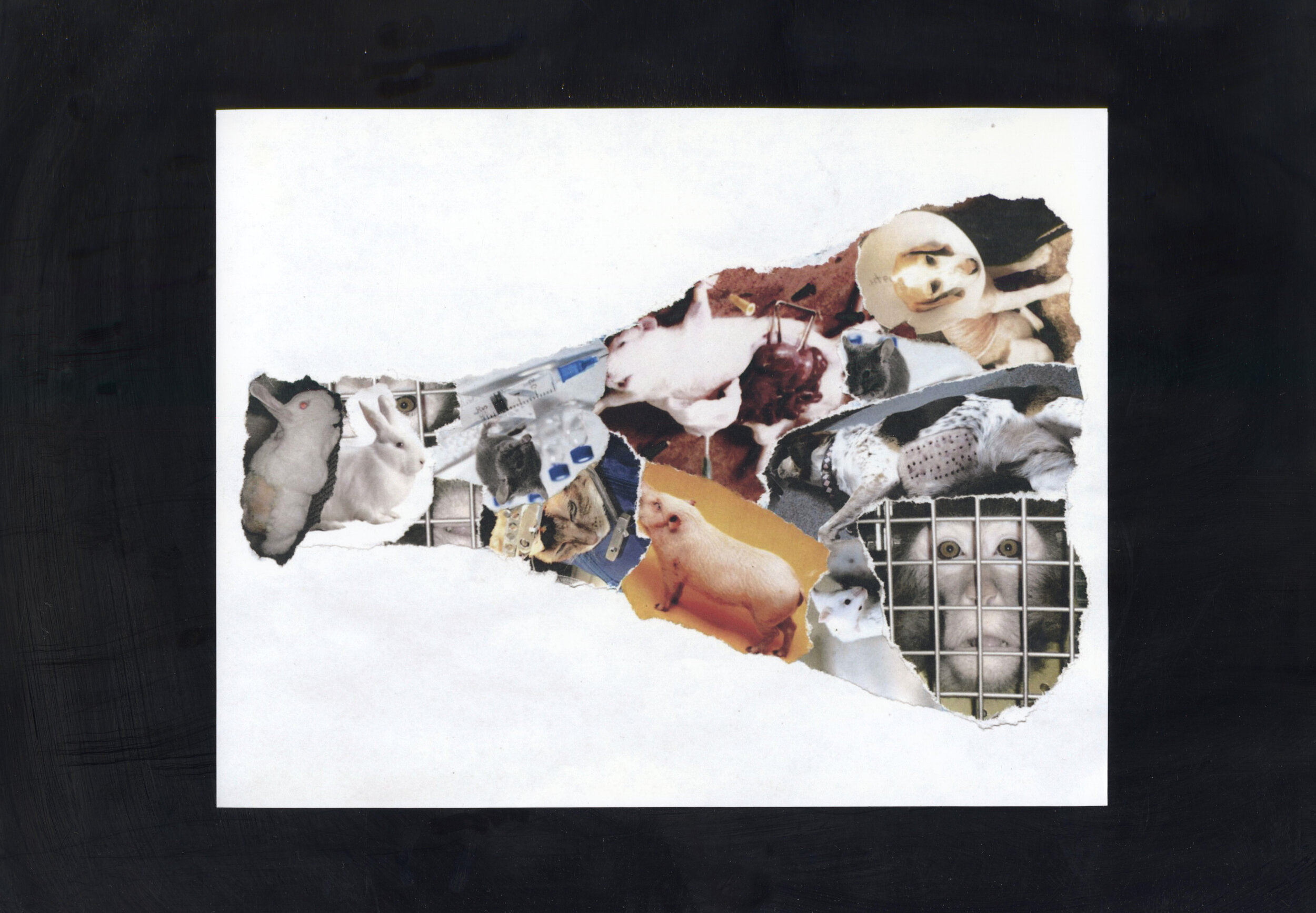 coldnesscollage2.jpg