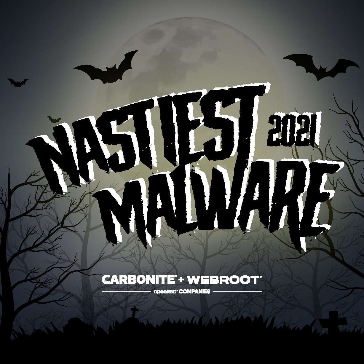 Webroot_Nastiest+Malware+Infographic+2021+Header_750x442_AMER_EN.jpg