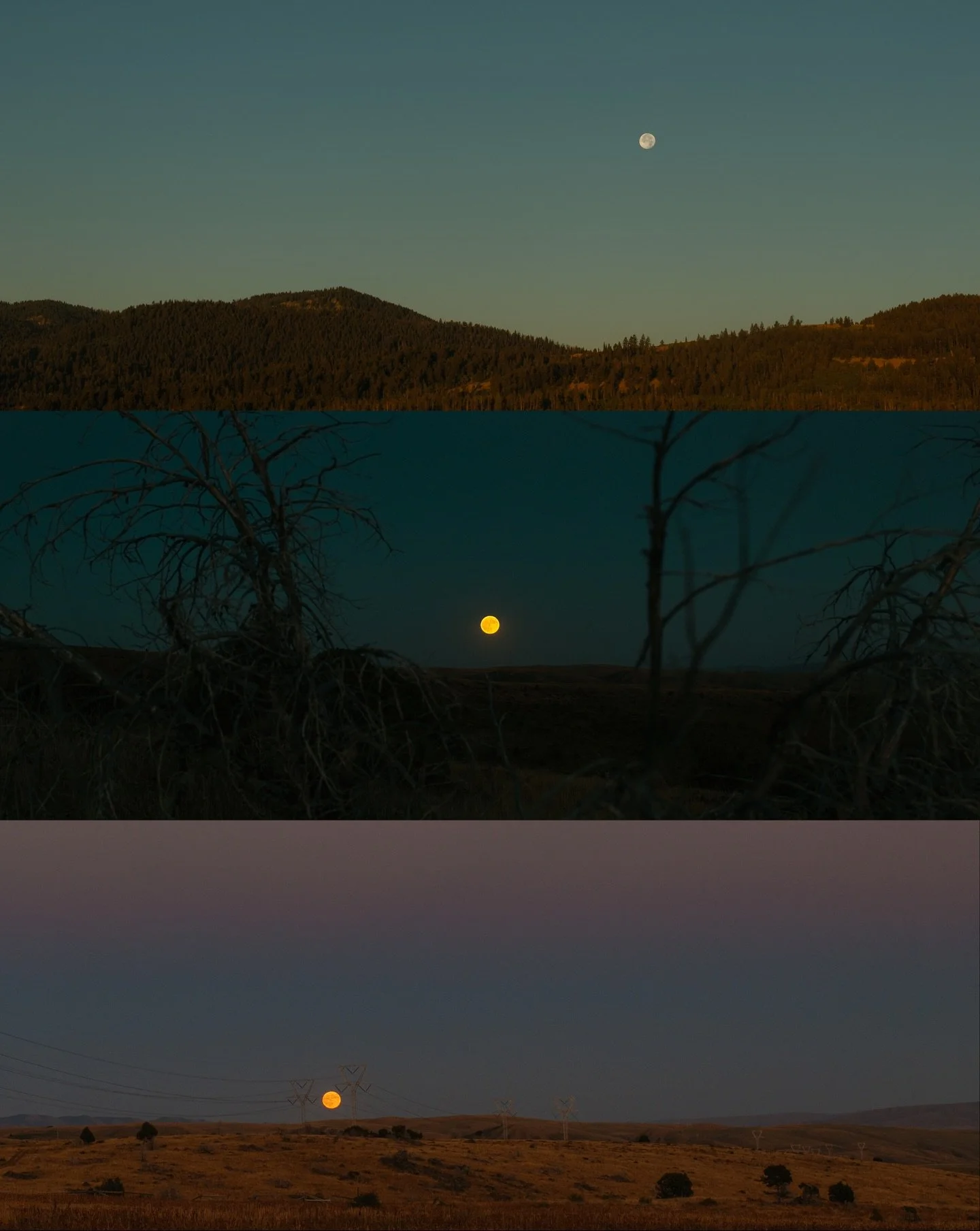 an ode to the moon 🌙