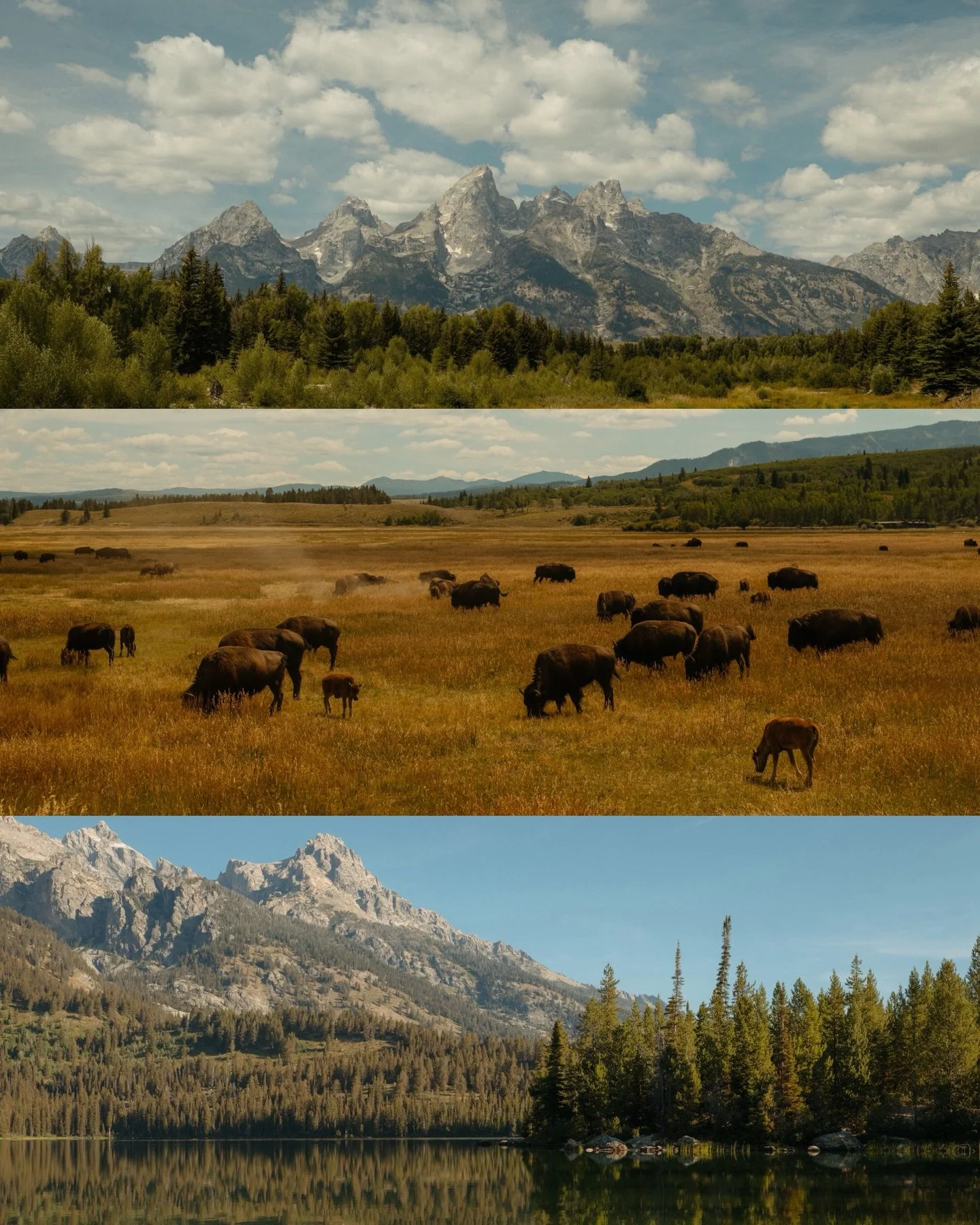 out west, from the archives 🏔️🌲