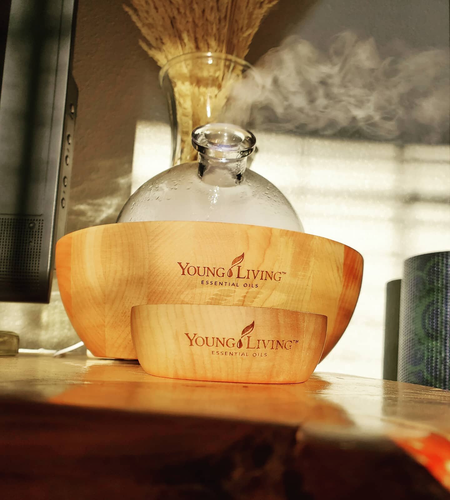 DIFFUSING

This smoke has my windows closed and essential oils diffusing 24/7!

Consider your pet's sensitive nose when you decide what you want your home to smell like. Now go throw away your plug-ins and toxic air freshener and come see us!

We hav
