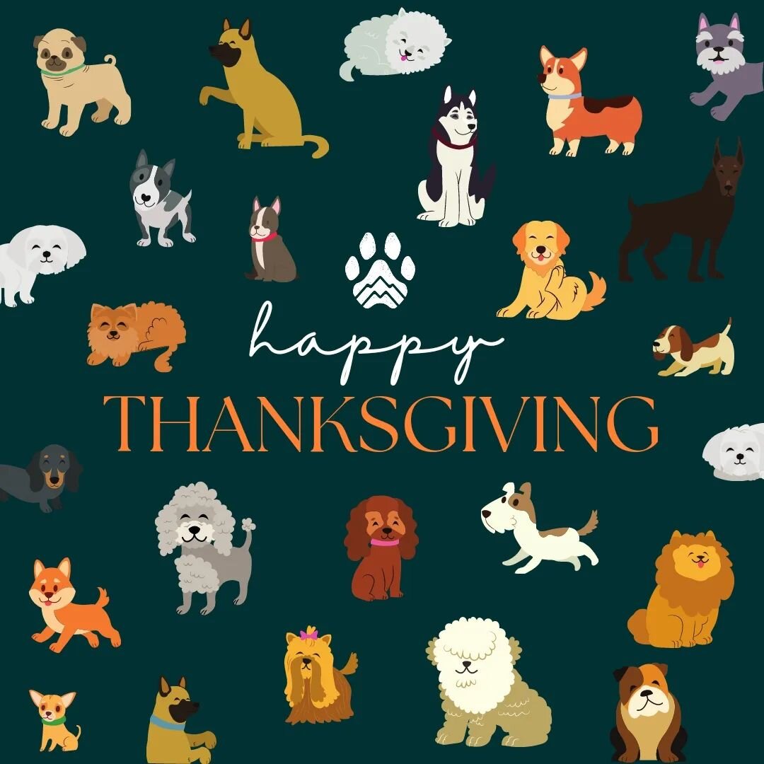 We're so thankful for all of you! 
Your support, your trust, your friendship and your fur babies!
Thank you for being a part of the Mountain Paw Family🐾💚