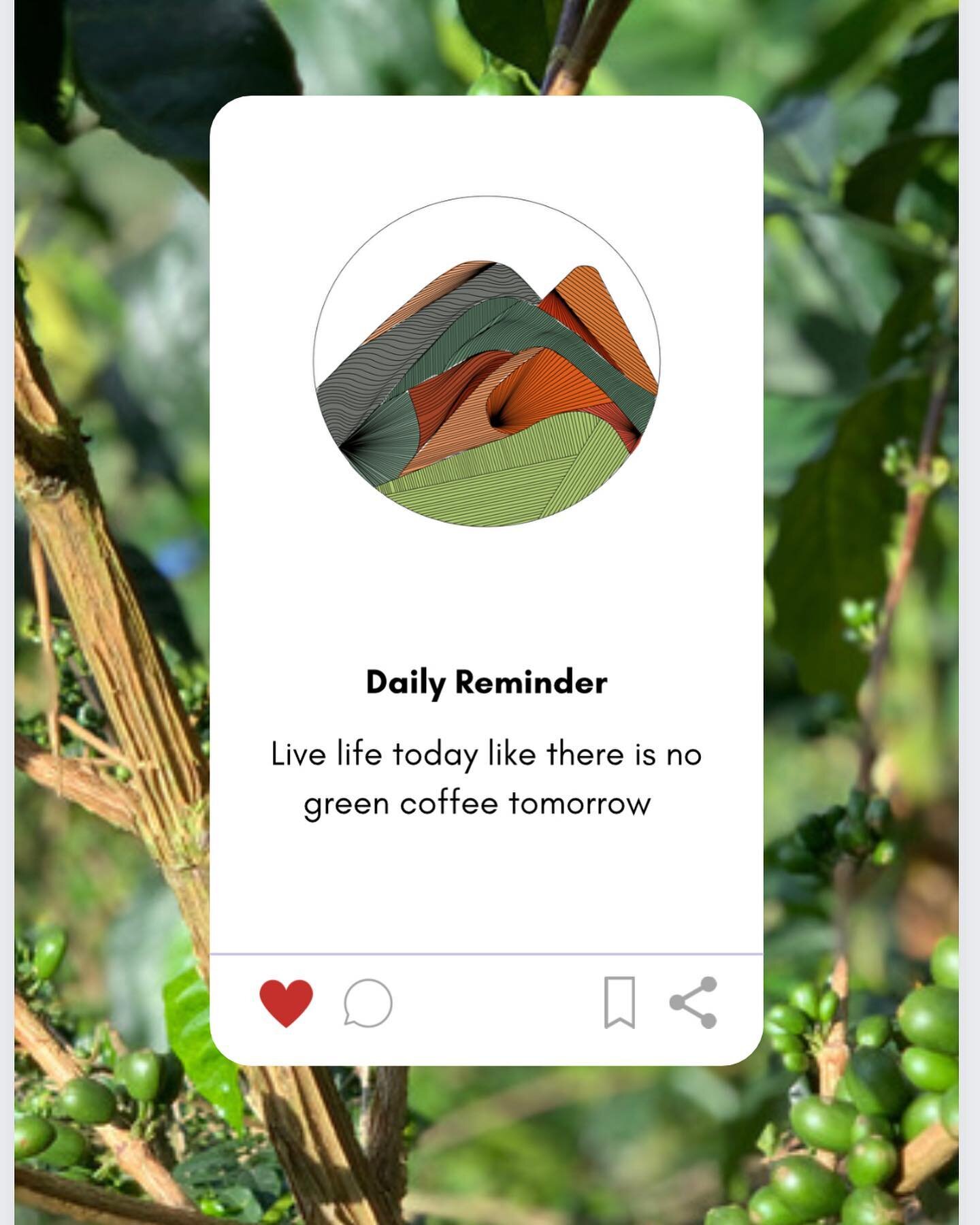 𝘚𝘩𝘰𝘱 𝘯𝘰𝘸 🛒
.
.
https://lomitas.co.uk
.
.
#greencoffee #lomitasgreencoffee #cafeverde #dailyreminder #coffe #rawcoffee #organiccoffee #londoncoffee