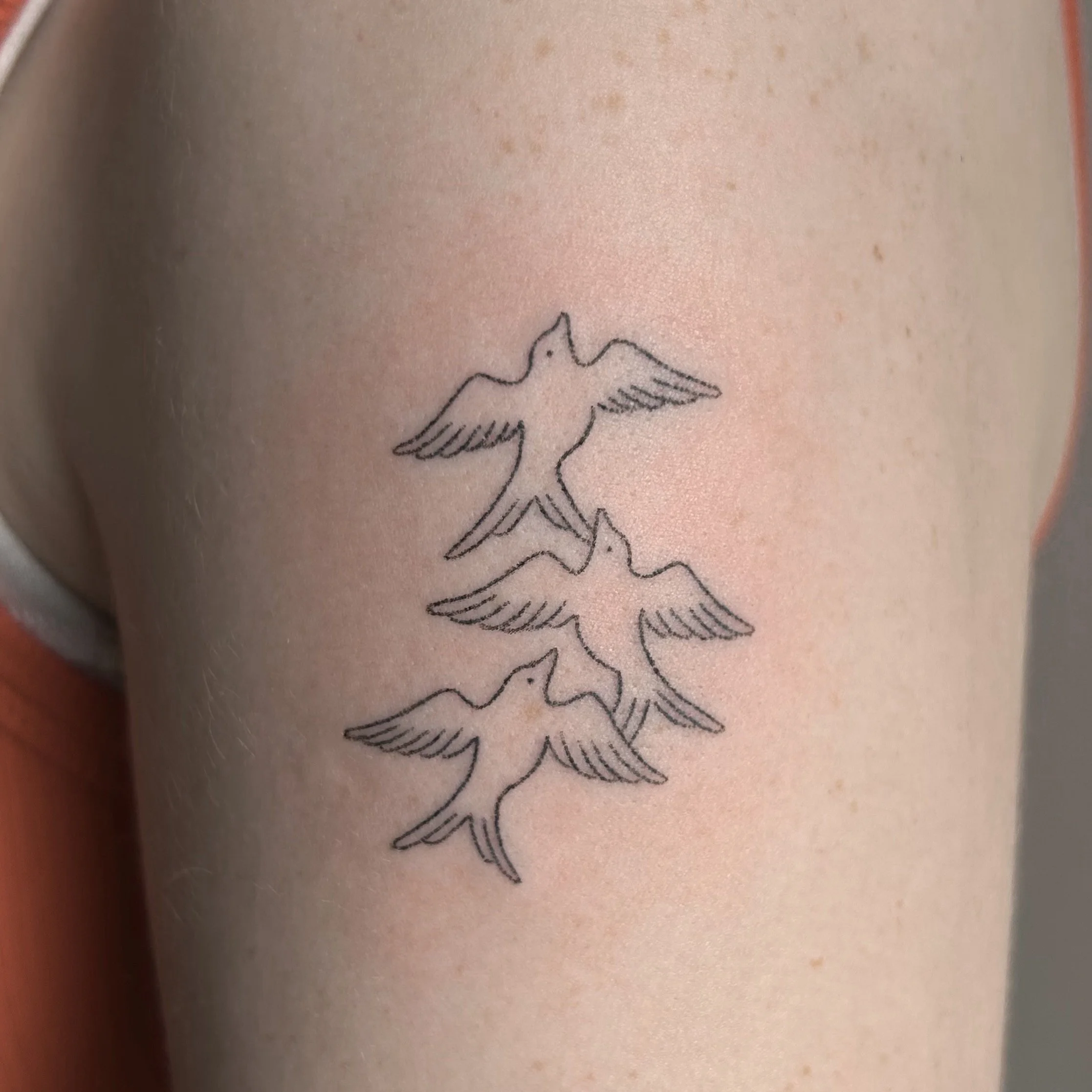 Tattoo of three flying birds on the upper arm