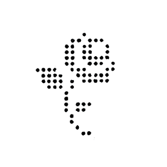 Xs_2-2.png