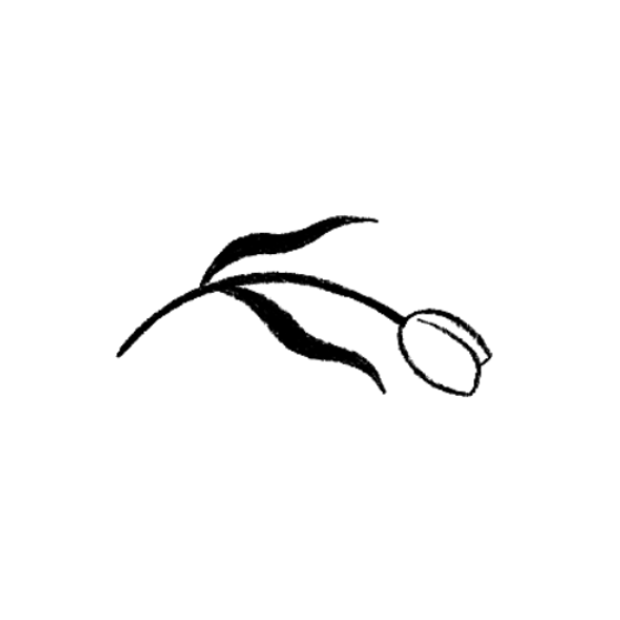Xs_2-4.png
