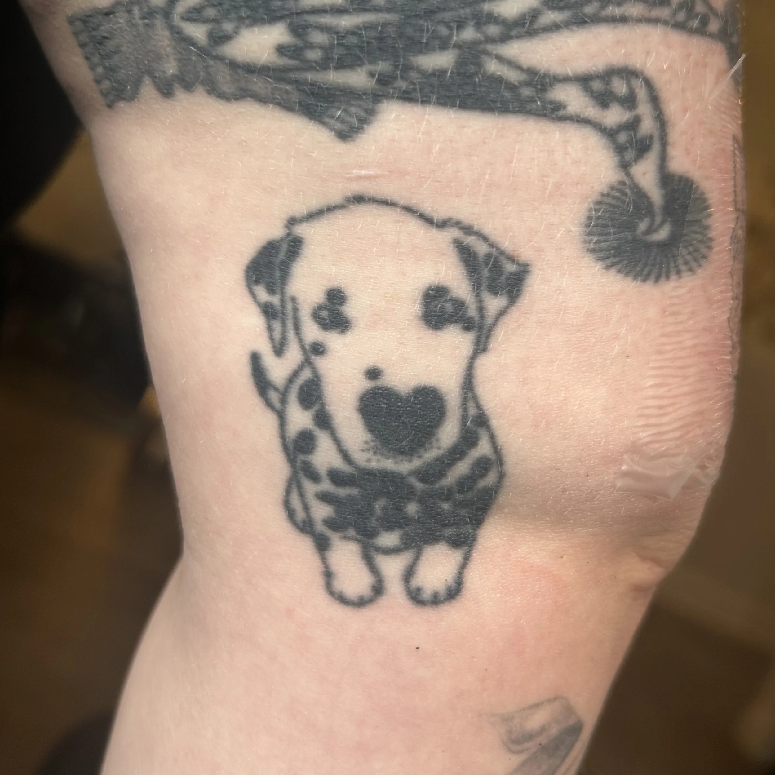 Tattoo of a Dalmatian puppy with a heart-shaped nose on the arm