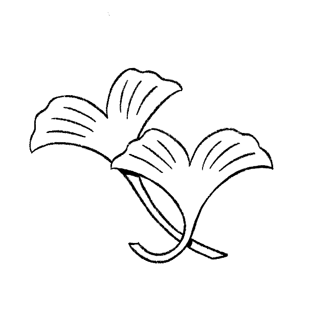 S_3-8.png