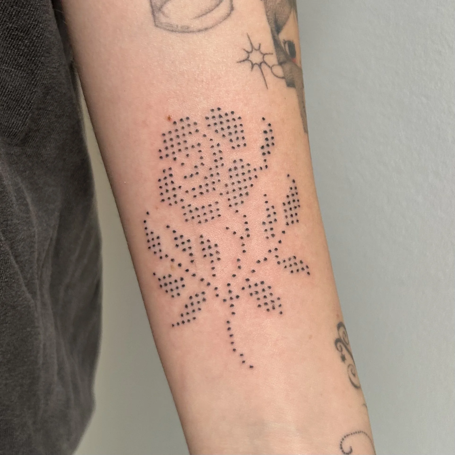 Cross stitch style dotwork tattoo of a rose on the forearm