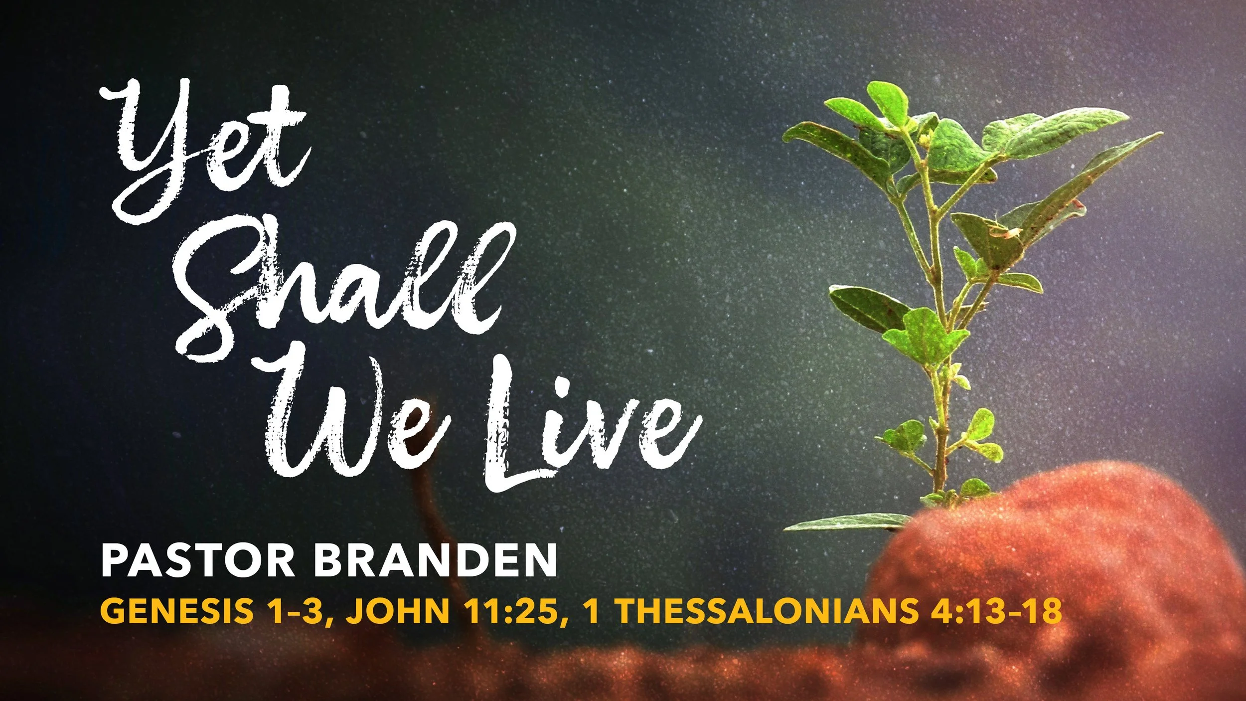 Worship, February 21, 2026