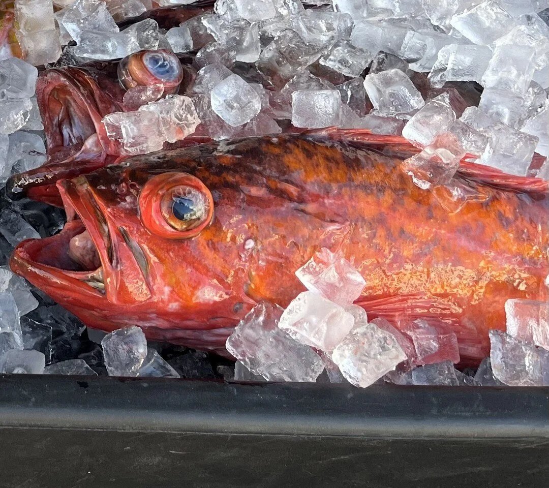 Wow! What a wonderful time at the @littleitalymercato  Thank you everyone that stopped by and made our first week of markets really something great. #sdfood #sdfoodie #sdseafood #sandiego #paramountfishco #paramountlovesyou #supportyourlocalfisherman