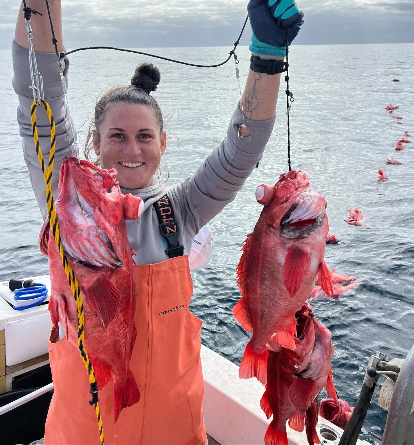 Can&rsquo;t beat a full string of nice grade blackgill rockfish #commercialfishing #rockcod #blackgill #paramountfish #sustainability #localfish #supportyourlocalfishcompany