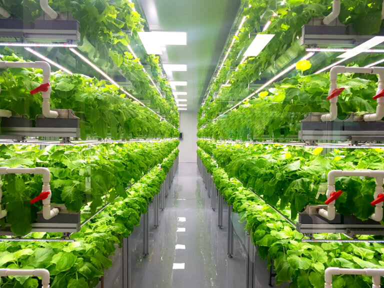 Vertical Farming.jpg