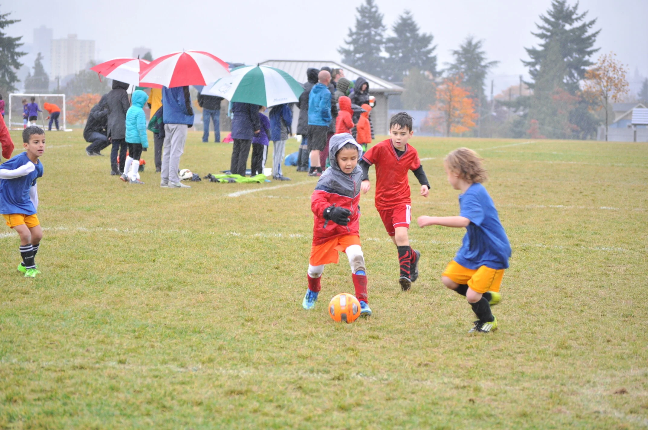 20171021 D5000 091.JPG