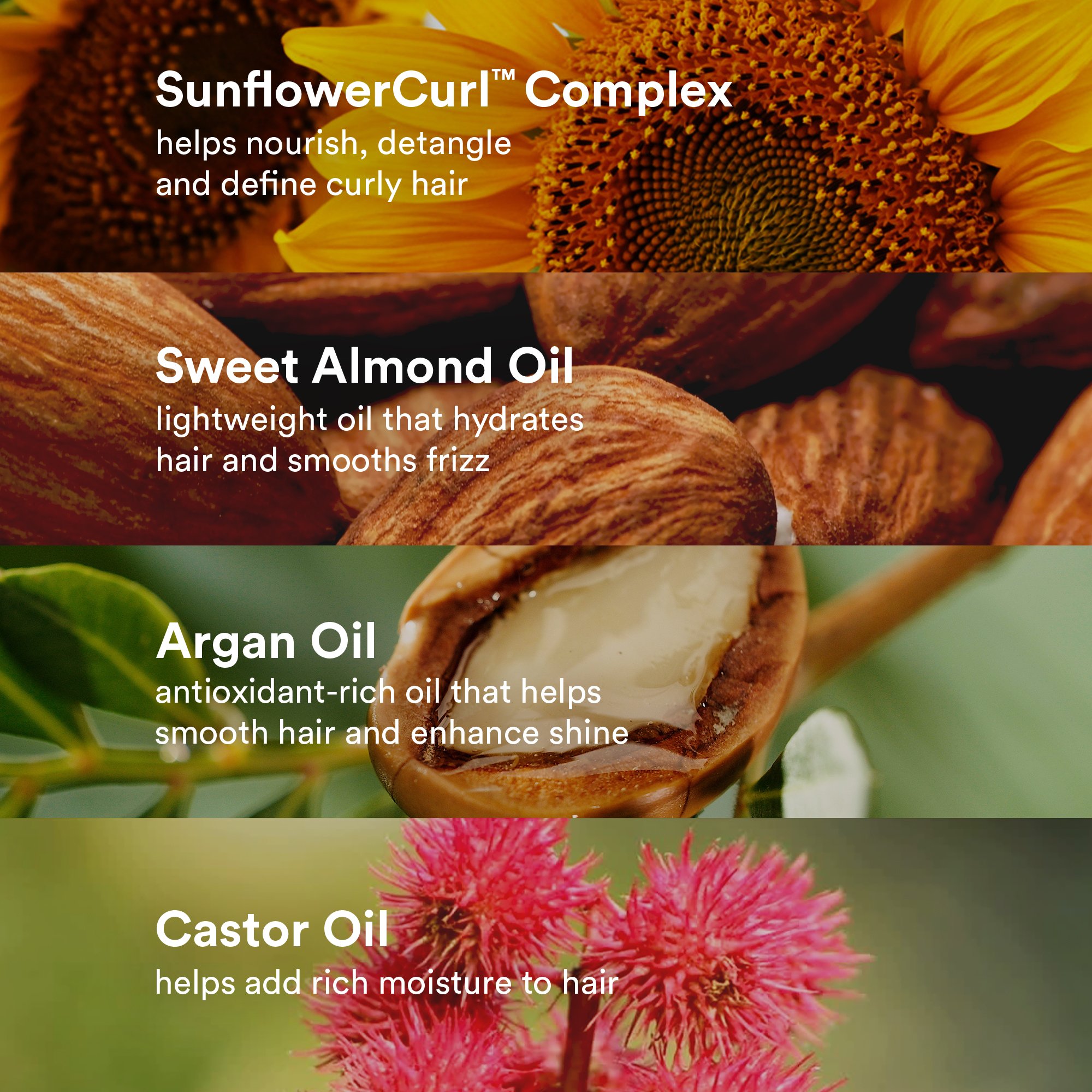 Verb_2025_Infographics_Variations_Square_Curl-Oil_Ingredients.jpg