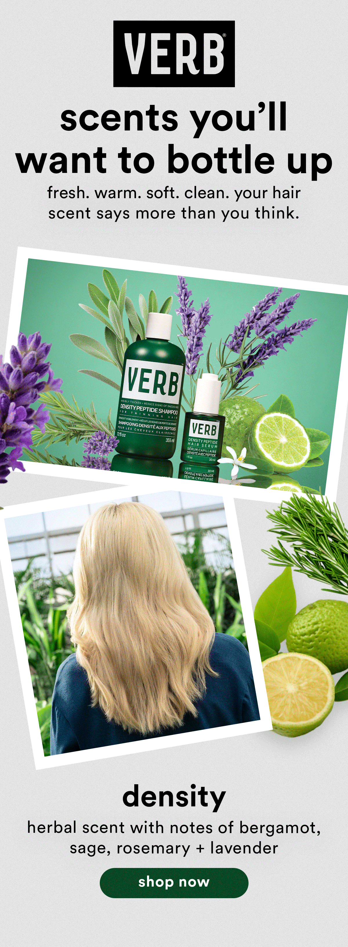 verb_email_scents_spotlight_2026_dsn1.4.gif