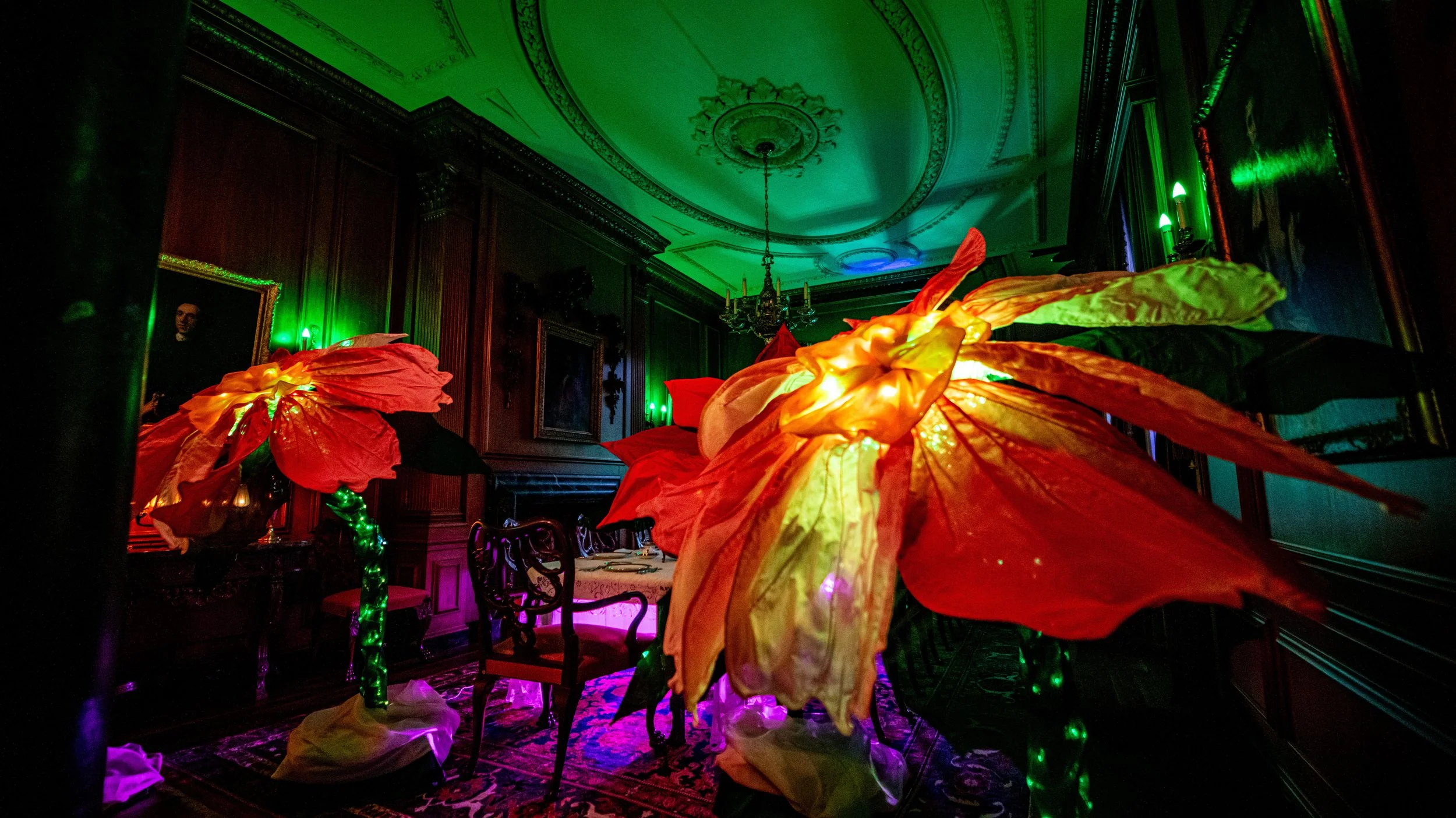 Nature of Light 2025