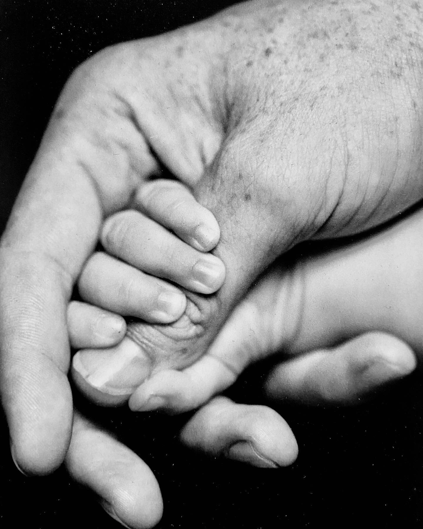 Just so tiny....but look at that grip! 

#noosafamilyphotographer #snugglepix #newborn 
#sunshinecoastphotographer #sunshinecoastnewbornphotogapher#brisbanematernityphotographer 
#noosakids #noosamums #noosamumsandbubs #sunshinecoastbabies #brisbanef