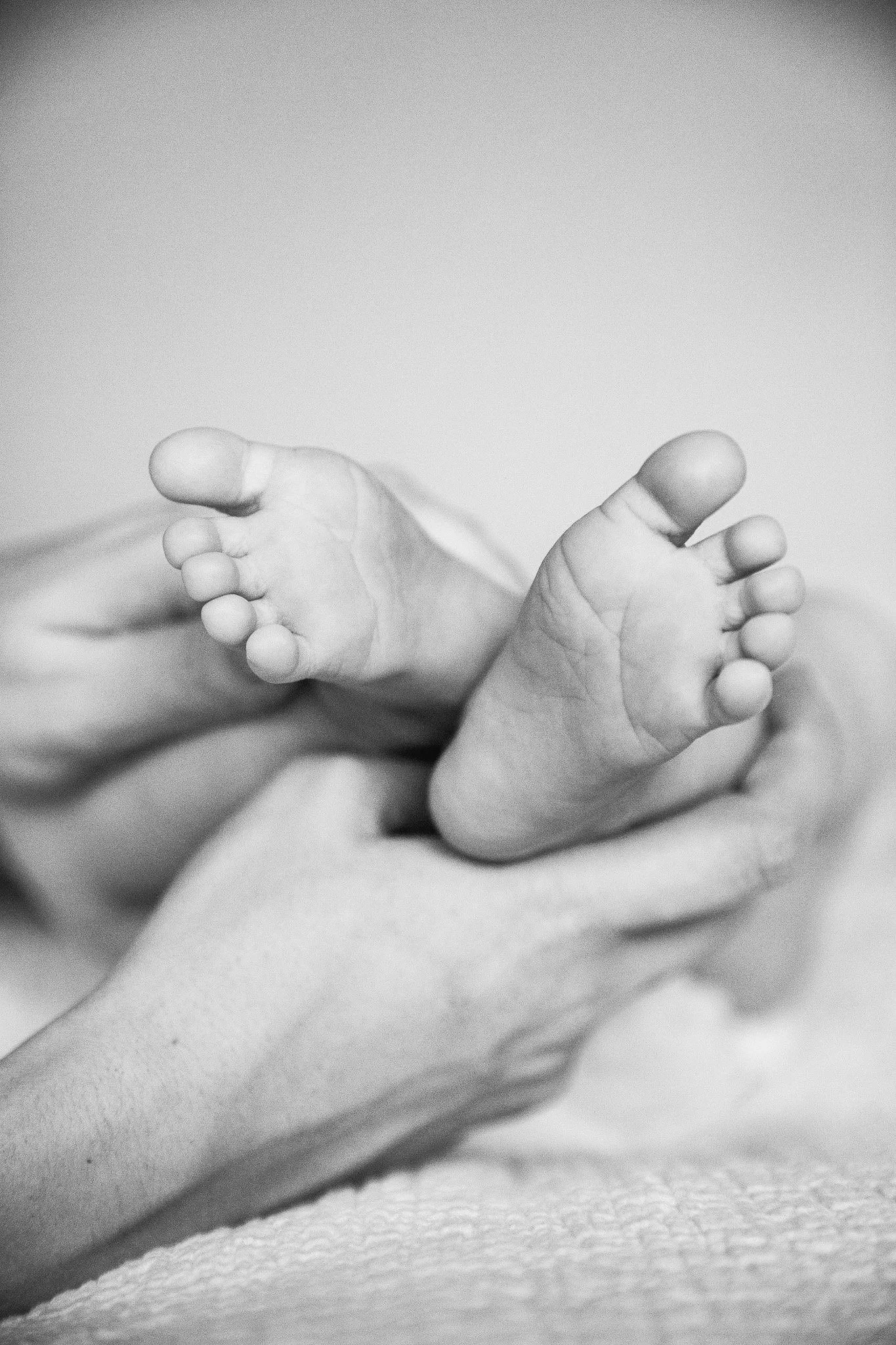 Snuggle+Pix+Photography+%7C+Baby+feet+photographed+at+home+in+Noosa+%7C+Noosa+%7C+Brisbane+%7C+Sunshine+Coast.jpg