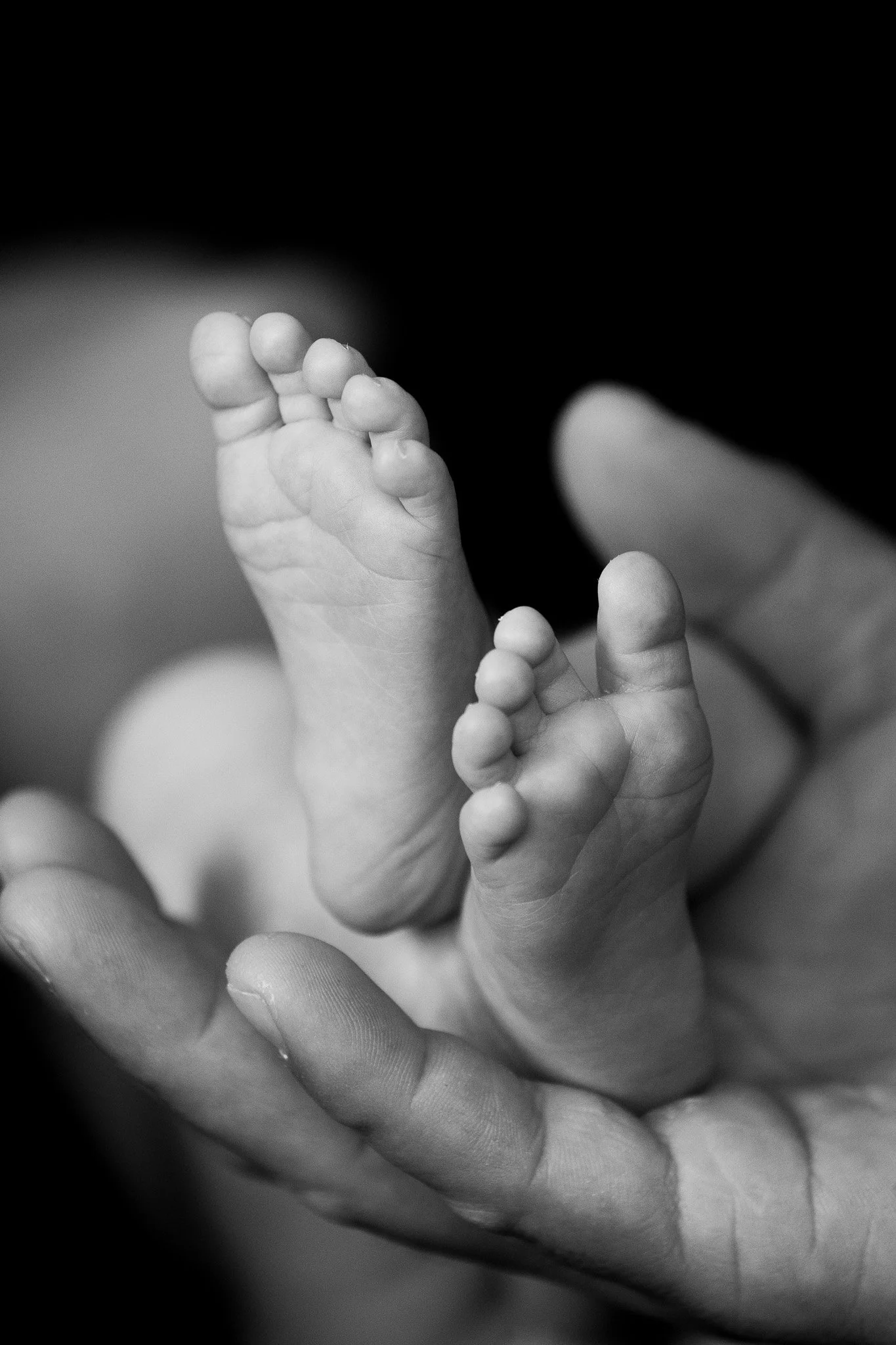 Snuggle Pix Photography | Newborn feet are photographed during a family photo session | Noosa | Brisbane | Sunshine Coast.jpg