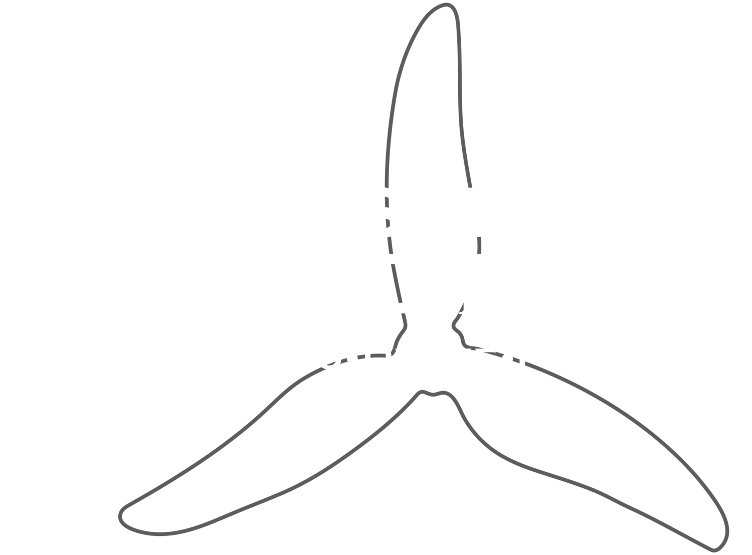 Eric Asylum Media 