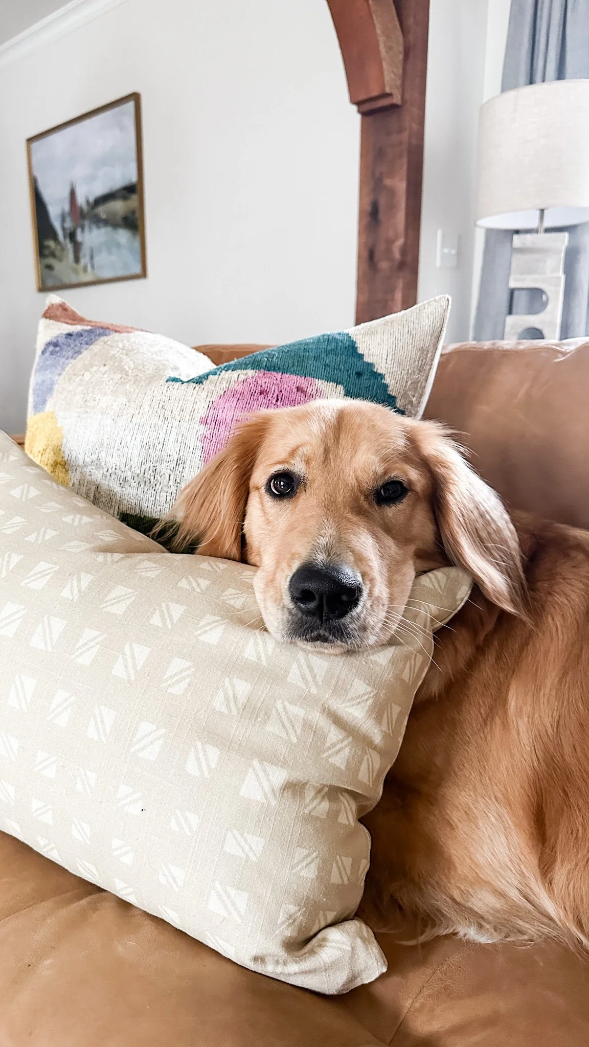 photo dec 05 2022, 1 49 22 pm.JPG