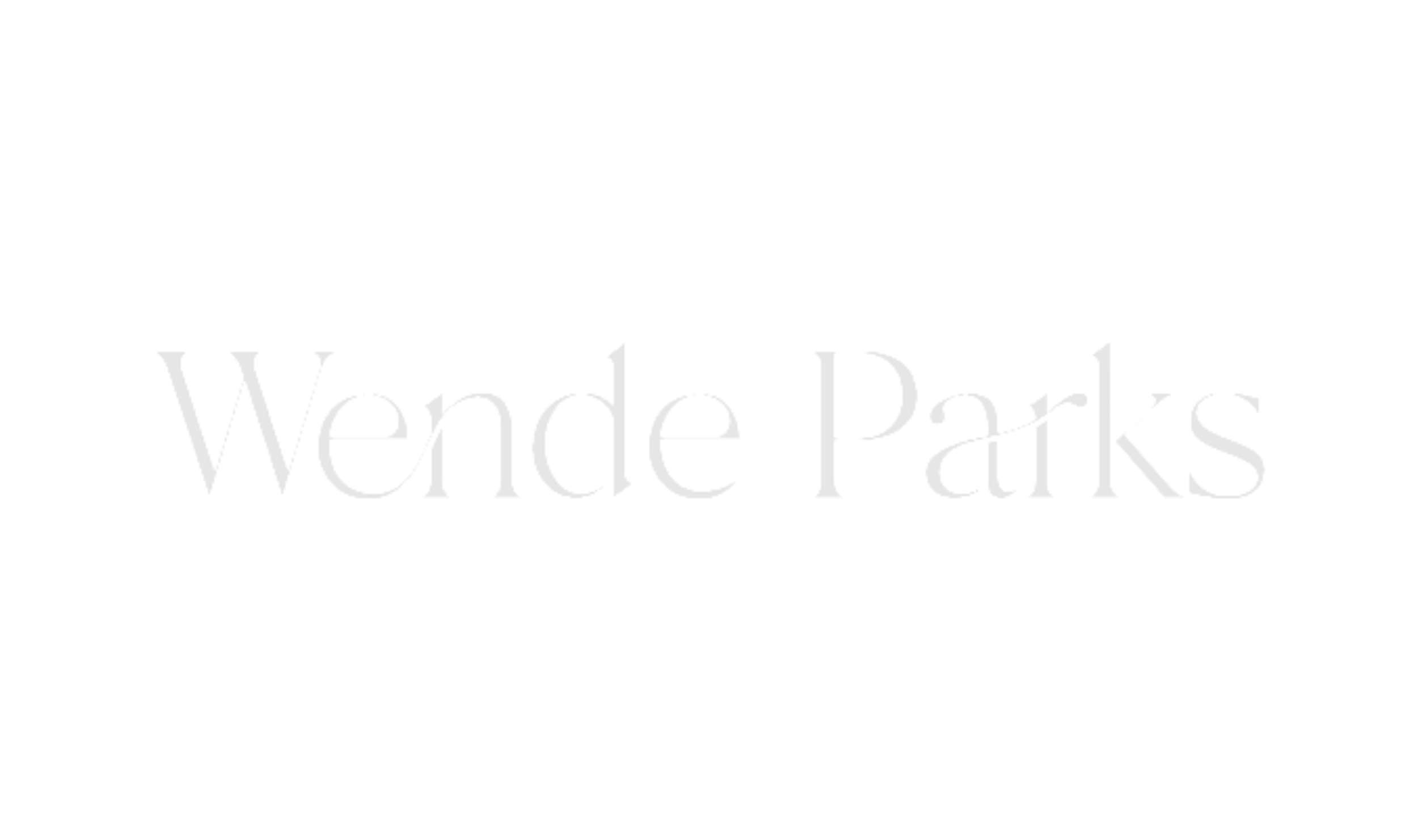Wende Parks, Broker Associate at Moreland Properties in Austin, Texas