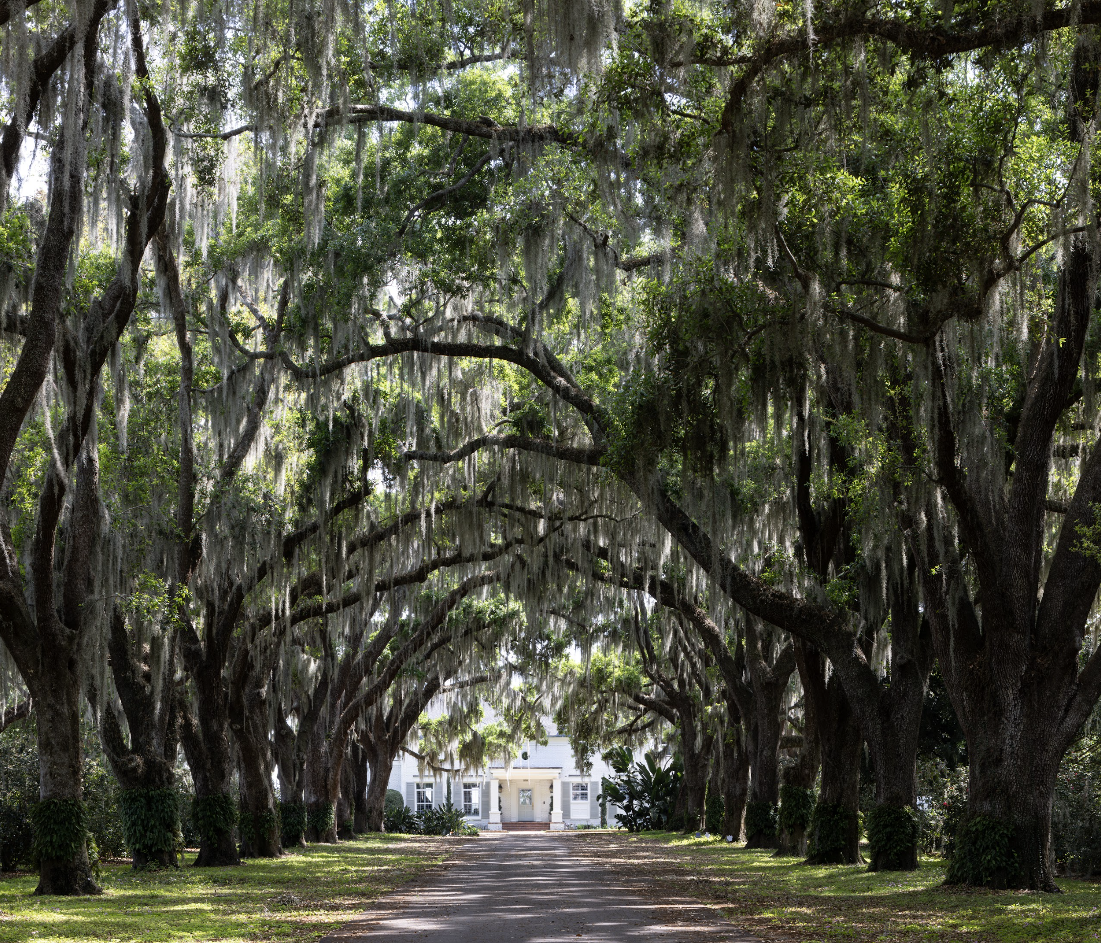 Screenshot 2026-01-22 at 12.37.06 PM.png