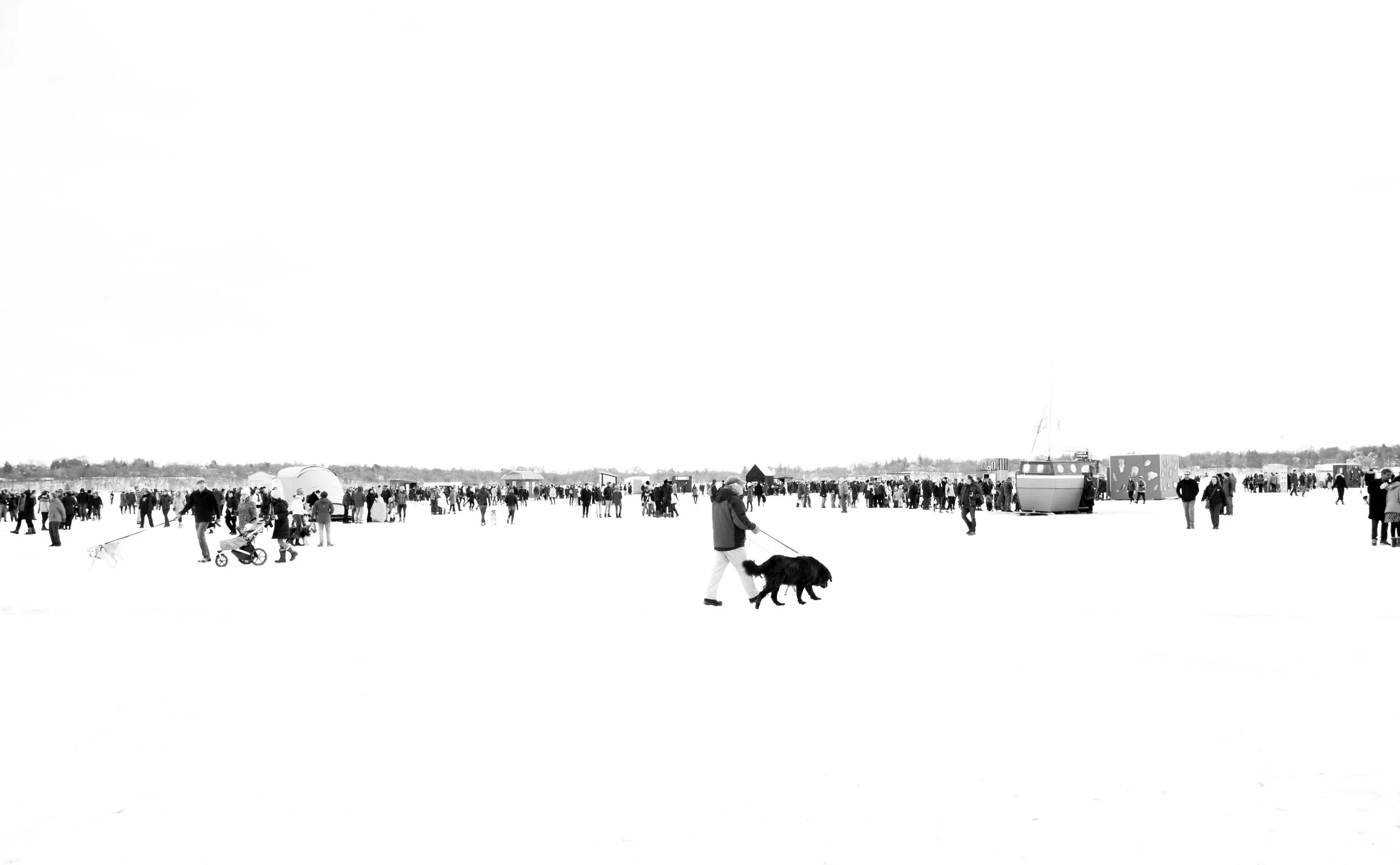 People gathered in an outdoor space, some walking dogs, some standing or sitting, with distant structures and a boat in the background.