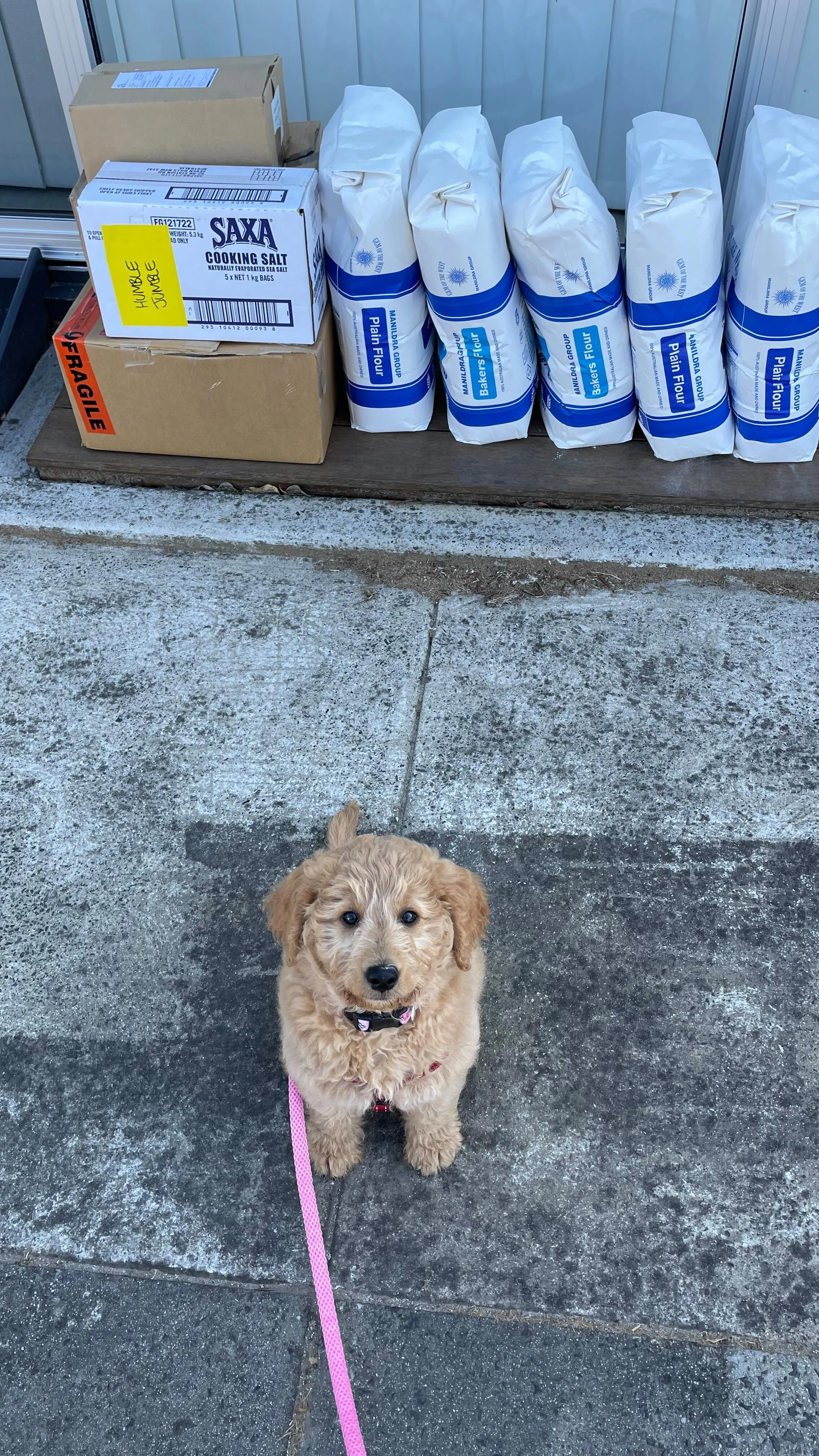 Baking Instructions Humble Jumble Vegan Choc Chip Cookie mix — Humble