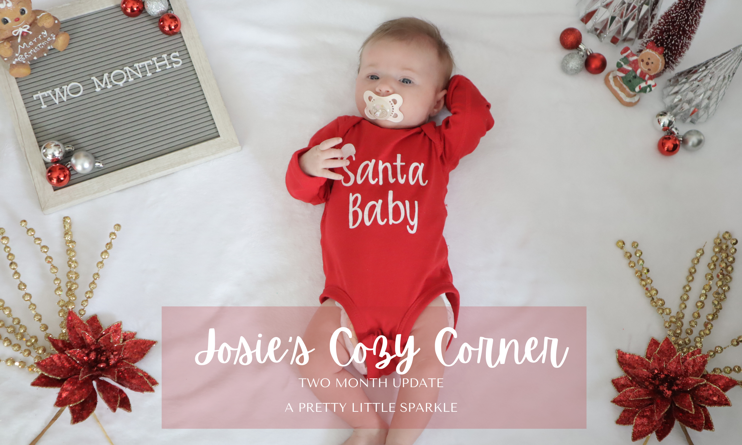 Josie’s Cozy Corner: 2 Month Update