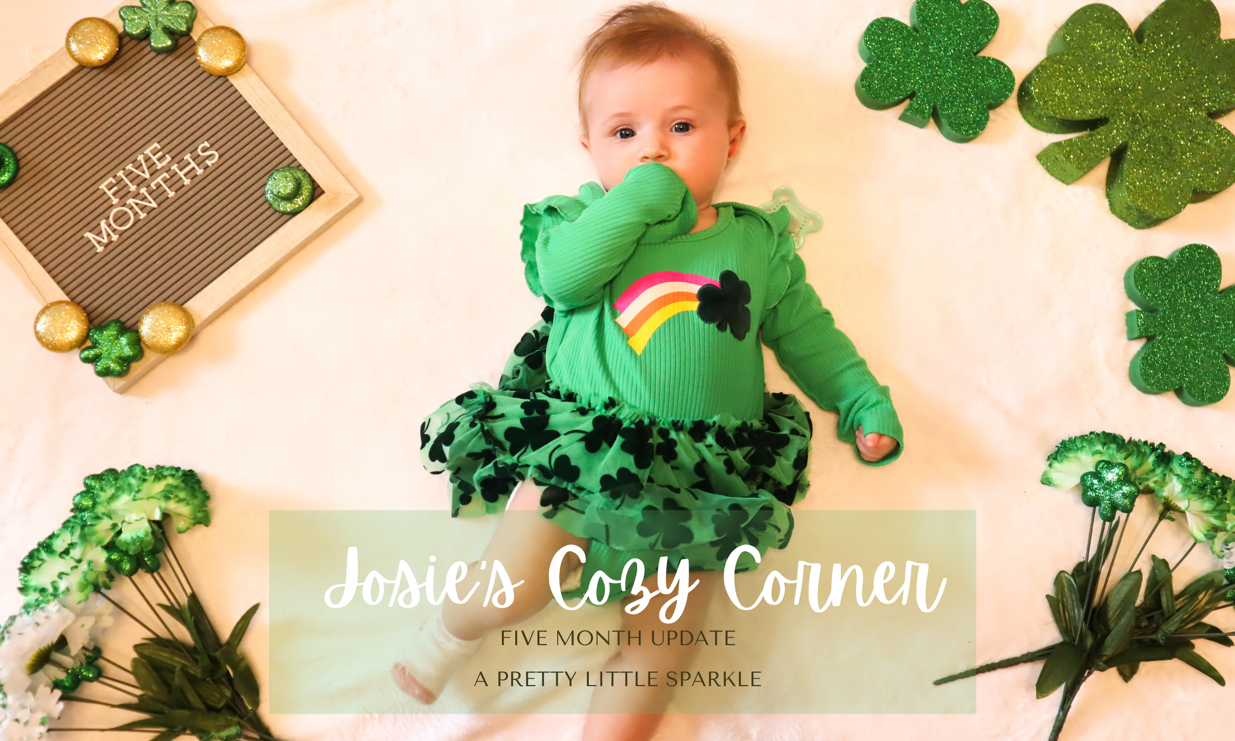 Josie’s Cozy Corner: 5 Month Update