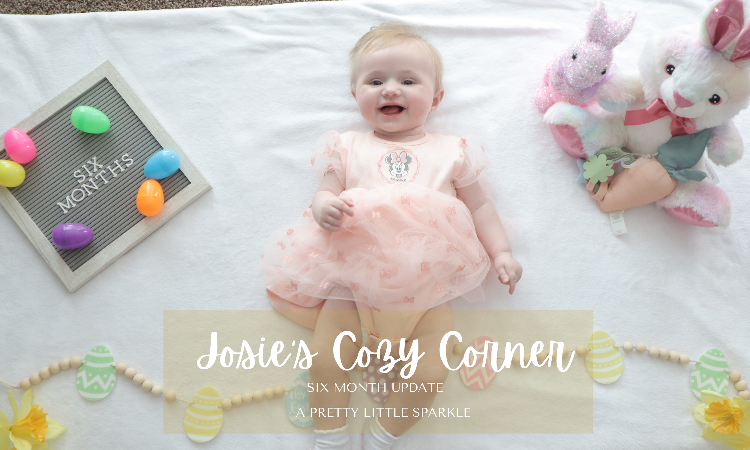 Josie’s Cozy Corner: 6 Month Update