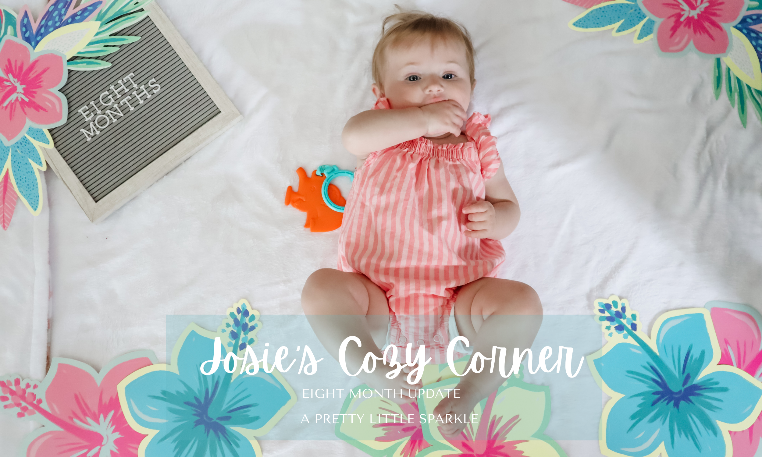 Josie’s Cozy Corner: 8 Month Update