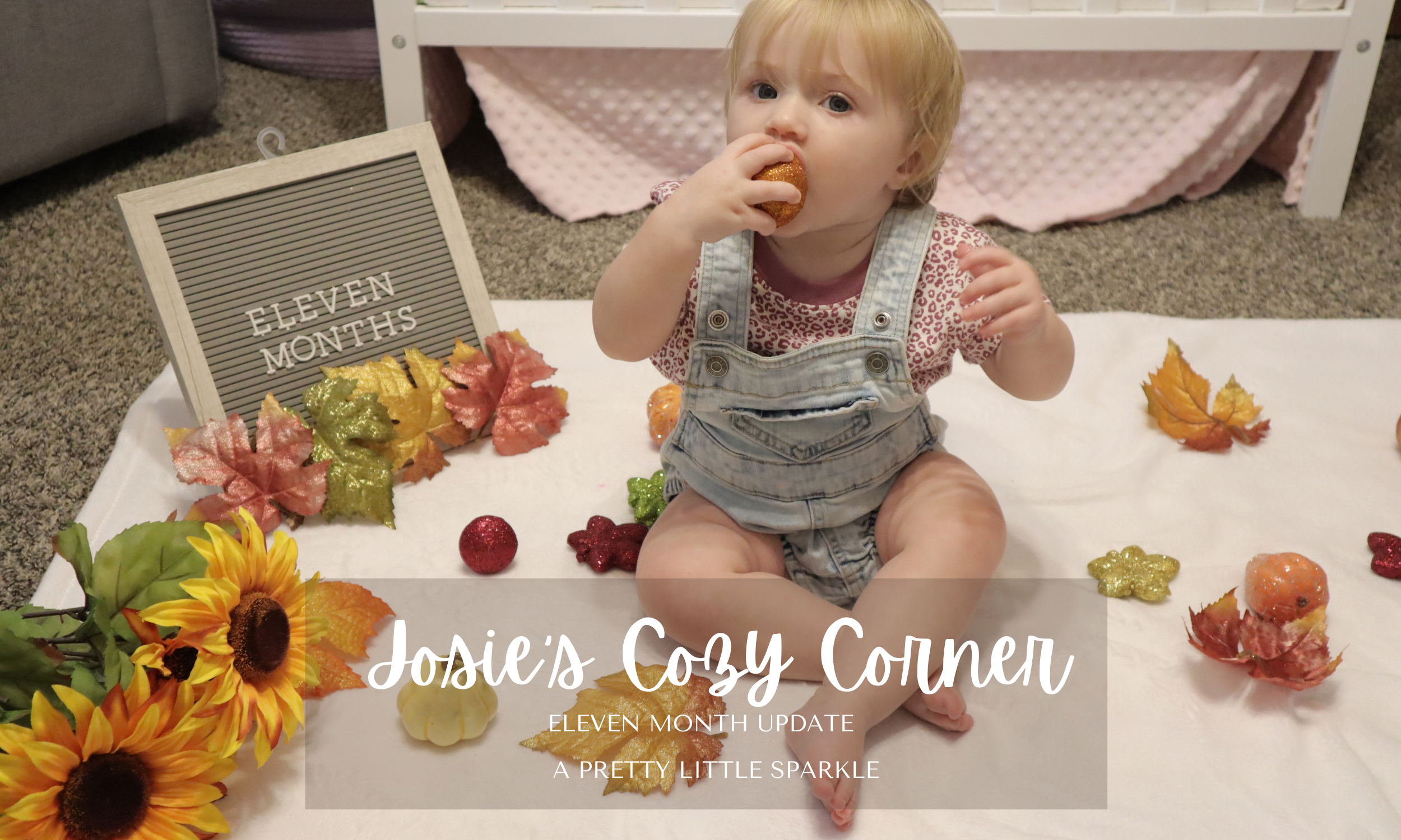 Josie’s Cozy Corner: 11-Month Update